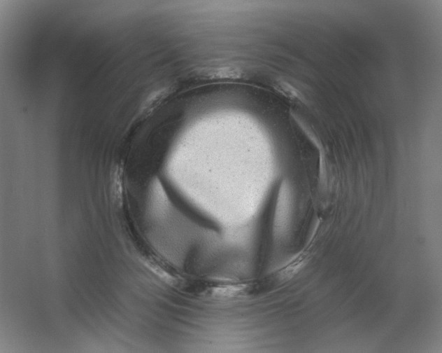 X0000063440172200602101632