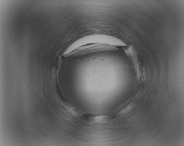X0000063440184200602101632