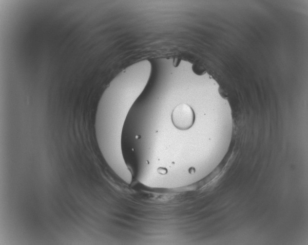 X0000063440186200602101632