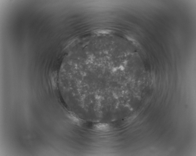 X0000063440189200602101632