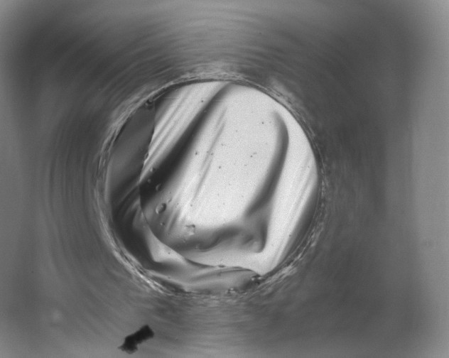 X0000063440193200602101631