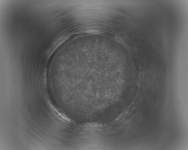X0000063440194200602101631