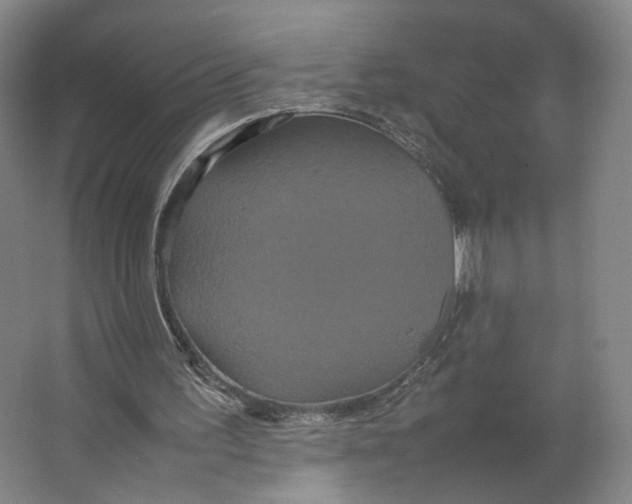 X0000063440195200602101631