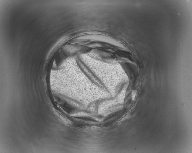 X0000063440197200602101631