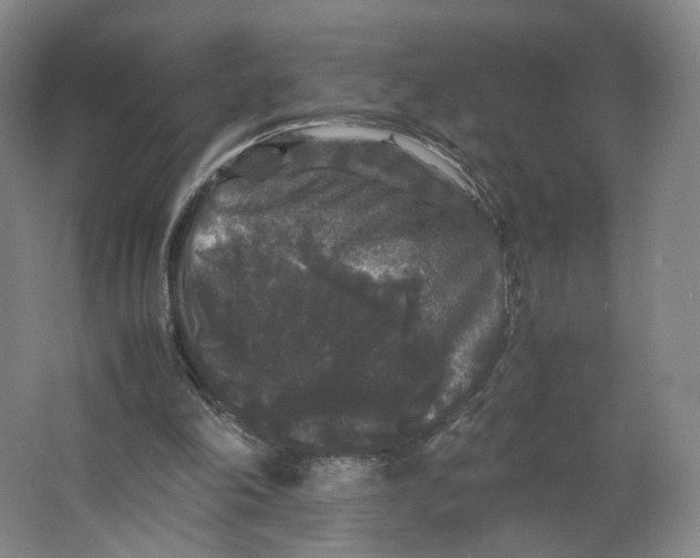 X0000063440198200602101631
