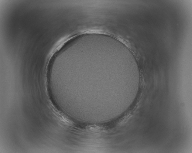 X0000063440199200602101631
