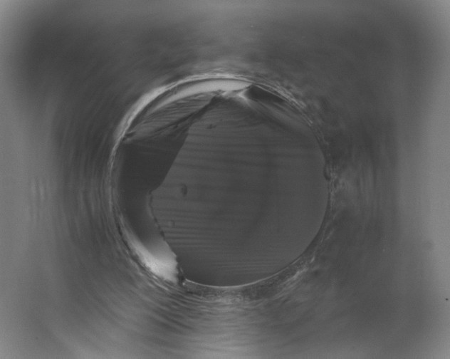 X0000063440200200602101631