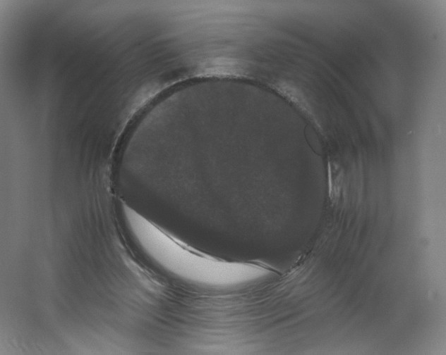 X0000063440204200602101631