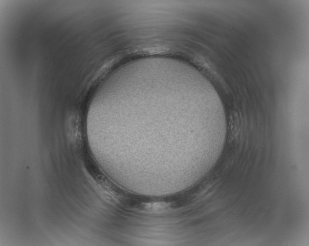 X0000063440212200602101631