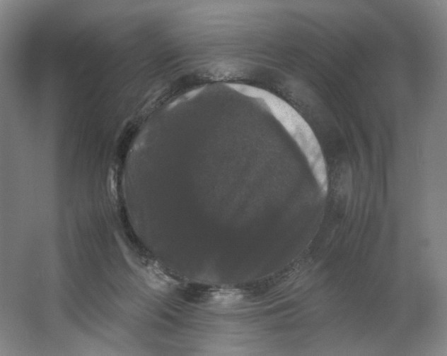 X0000063440214200602101631