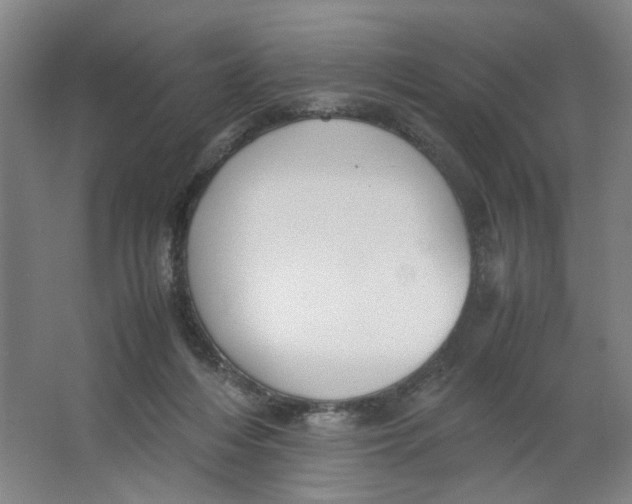 X0000063440216200602101631