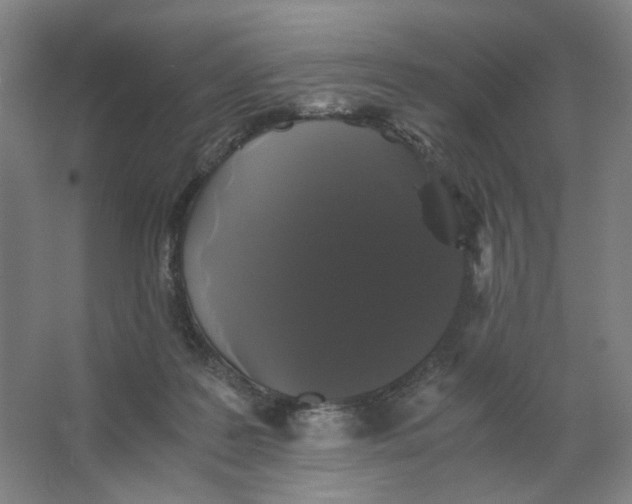 X0000063440219200602101631