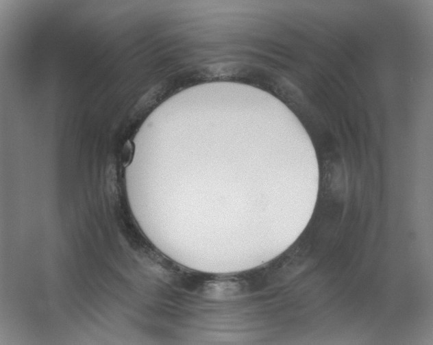 X0000063440220200602101631