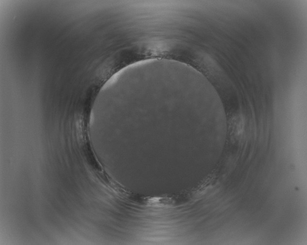 X0000063440222200602101631