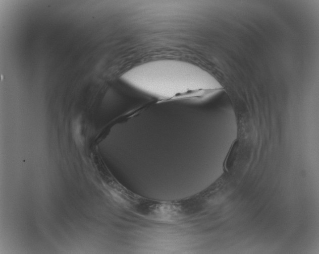X0000063440223200602101631