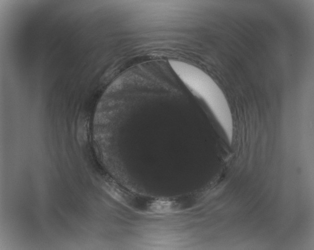 X0000063440227200602101631
