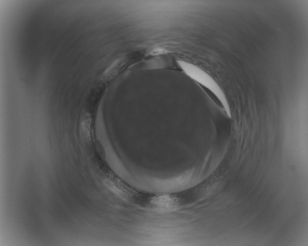 X0000063440231200602101630