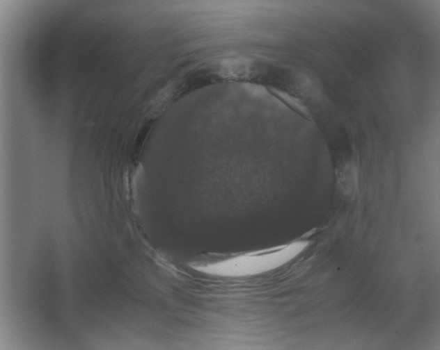 X0000063440233200602101630