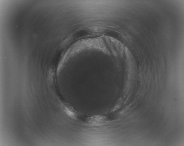 X0000063440235200602101630