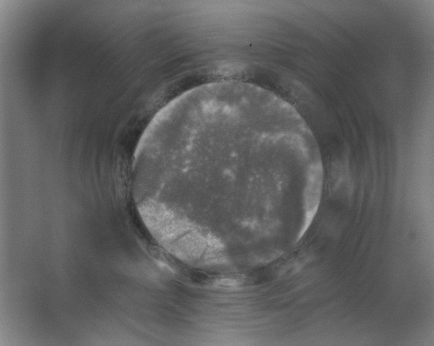 X0000063440236200602101630