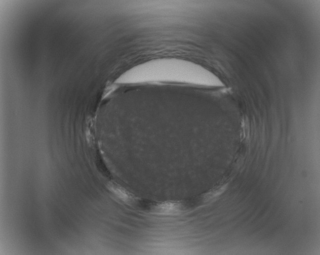 X0000063440237200602101630