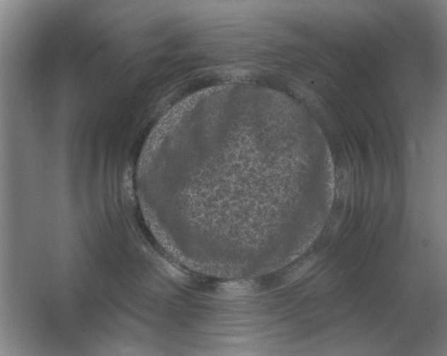 X0000063440238200602101630