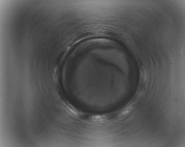 X0000063440239200602101630