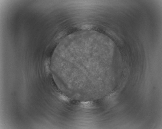 X0000063440240200602101630