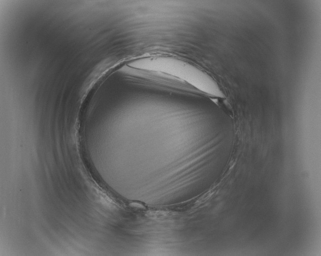 X0000063440242200602101629