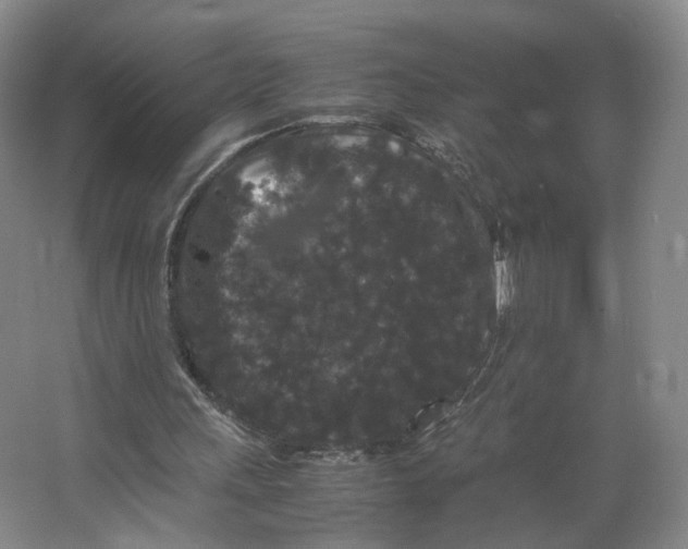 X0000063440243200602101630