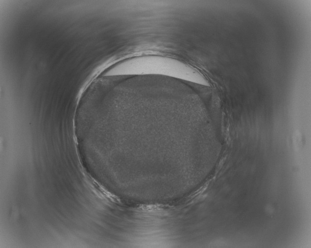 X0000063440244200602101630
