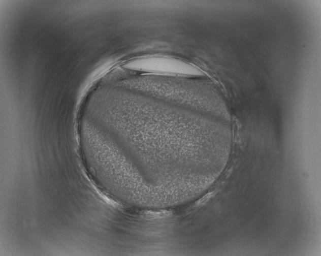 X0000063440245200602101630