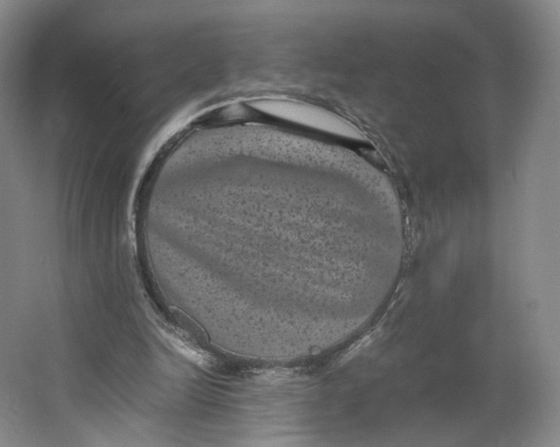 X0000063440246200602101630