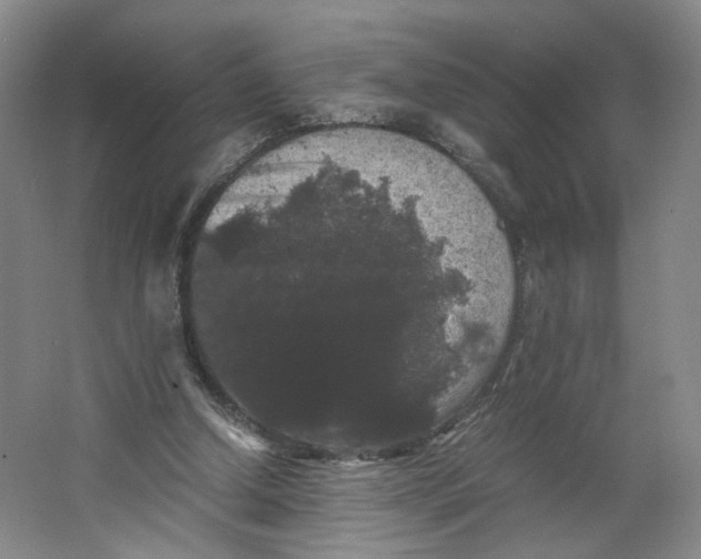 X0000063440250200602101630