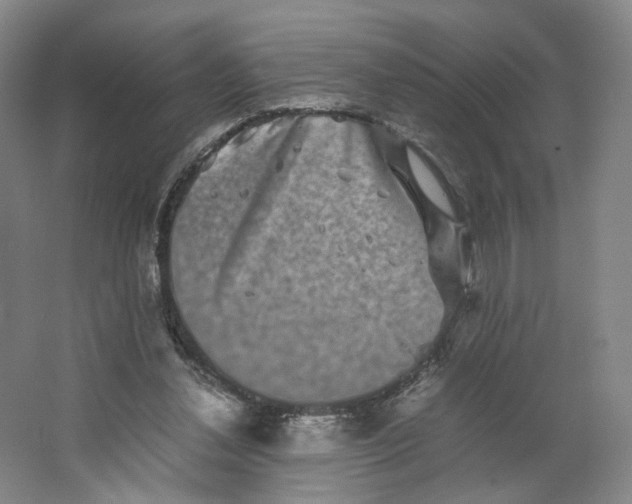 X0000063440252200602101630