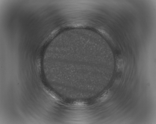X0000063440260200602101630