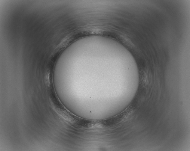 X0000063440262200602101630