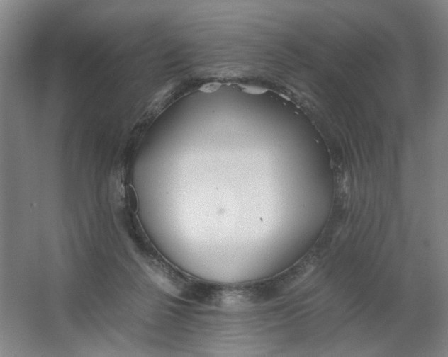 X0000063440264200602101630