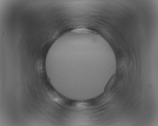 X0000063440268200602101630