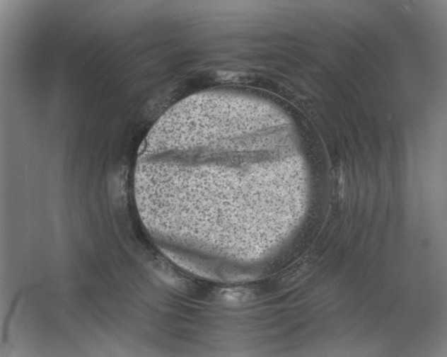 X0000063440275200602101630