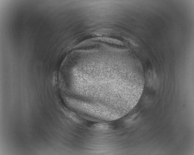 X0000063440284200602101630