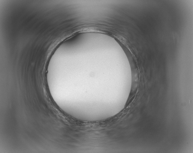 X0000063440289200602101629