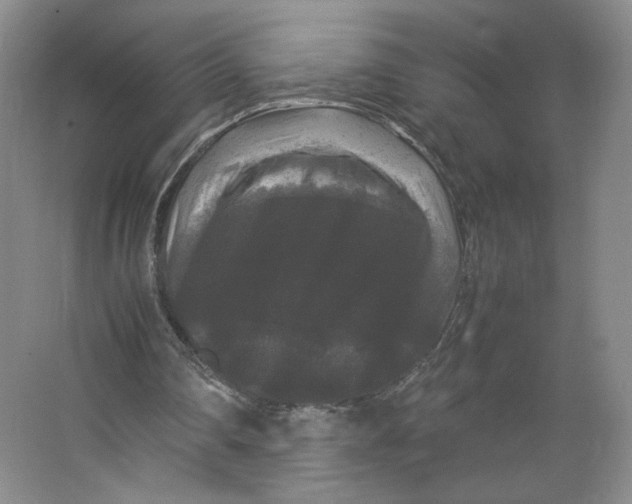 X0000063440290200602101629