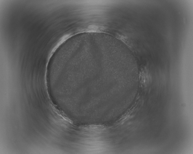 X0000063440292200602101629