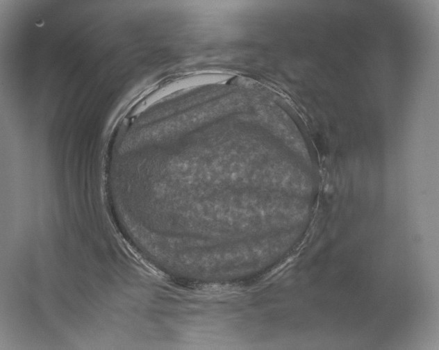 X0000063440293200602101629