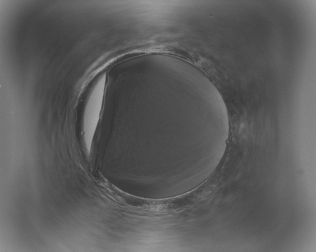 X0000063440295200602101629