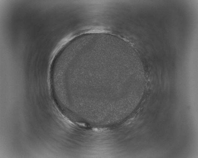 X0000063440296200602101629