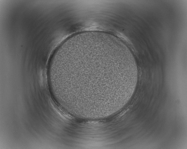 X0000063440298200602101629