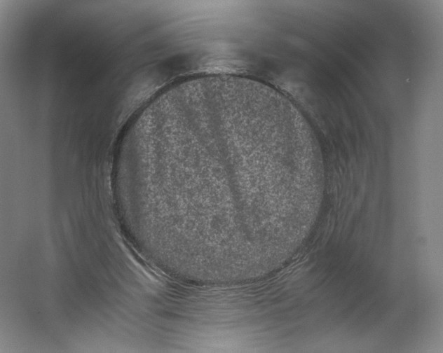 X0000063440299200602101629