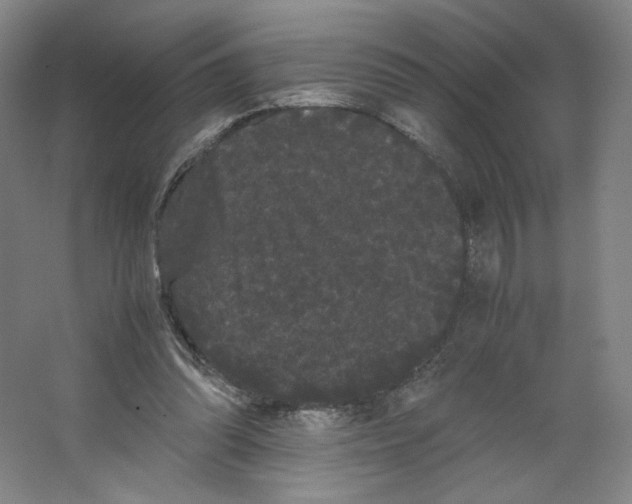 X0000063440302200602101629